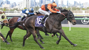 「超级苏帕塔」夺冠弗莱明顿社区盾赛（the Flemington Community Plate）