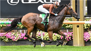 「松子酒盘旋」夺冠TAB We're On大赛