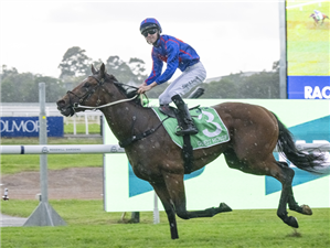 「豪宅」夺冠金拖鞋大赛