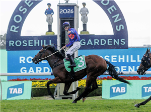 「家庭旅馆」夺冠金拖鞋大赛