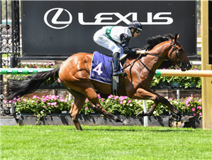 「猛踢」胜出塔林德特锦标赛