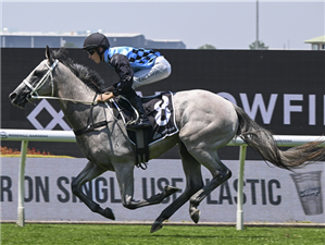 「希德里」胜出卡农贝利锦标赛