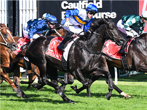 「拼图」夺冠威廉姆里德锦标赛