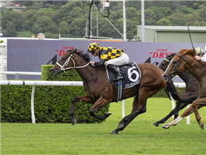 JOLIESTAR winning the ASAHI SUPER DRY T J SMITH STAKES at Randwick in Australia.