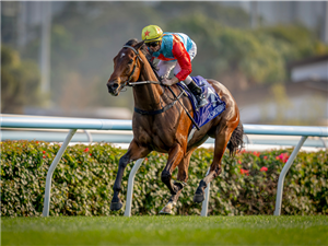 KA YING RISING winning the THE QUEEN'S SILVER JUBILEE CUP