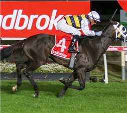 Best From The Best – 4 March | Sky Racing World | Sky Racing World