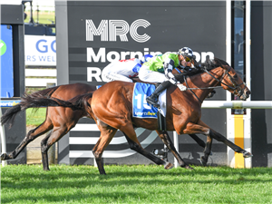 「御林深谷」夺冠莫宁顿杯