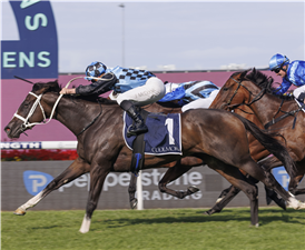 「蓝湖」夺冠库尔摩尔经典赛