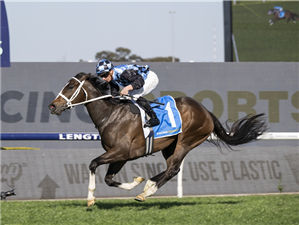 「蓝湖」夺冠在罗斯希尔赛马场上举办的RACINGANDSPORTS.COM.AU金吊坠大赛