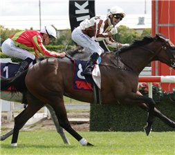 「莱加托」胜出赫比戴克锦标赛