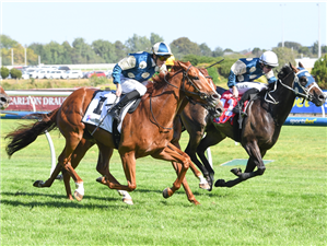 「轻步兵」 「轻步兵」