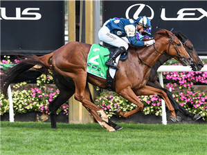 「轻取胜」夺冠澳洲杯