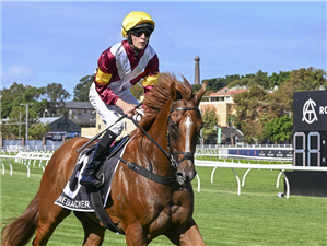 Jockey : ZAC LLOYD after LINEBACKER winning the THE AGENCY RANDWICK GUINEAS.
