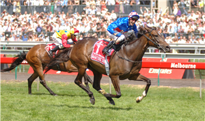 「戴花」胜出墨尔本杯