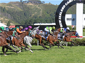 「曼佐尔蓝」胜出惠灵顿杯 「曼佐尔蓝」胜出惠灵顿杯