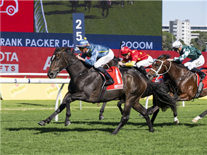「马提亚斯」夺冠