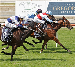 「梅费尔街」夺冠ENTAIN/NZB INSURANCE PEARL SERIES 赛