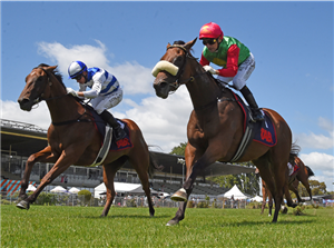 「琼斯小姐」（内侧）夺冠