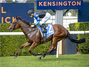 「麝香葡萄酒」夺冠在兰德威克赛马场肯辛顿赛道上举办的你好血统头条两岁马让赛（KIA ORA BLOODLINES TO HEADLINES HANDICAP）