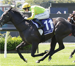 「战斗力」胜出迪拜经典赛