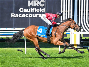 MUKHTALIF winning the Robert Taranto Handicap at Caulfield in Australia.