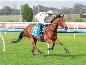 「自然激情」夺冠在考菲尔德赛马场上举办的Sportsbet供给让赛（ Feed Handicap）