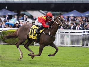 NEWLOOK winning the SCHWEPPES CHAIRMANS QUALITY at Randwick in Australia.