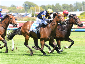 「橡丘」夺冠卢比顿锦标赛
