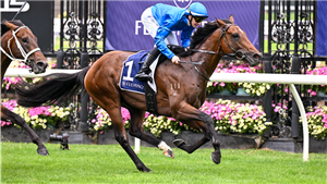 「观察员」夺冠澳洲坚尼赛