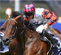 「欧霍普胜」 「欧霍普胜」