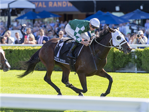 「欧霍普胜」胜出澳洲橡树赛