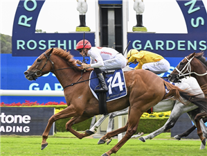 「背运」夺冠帕拉马塔杯