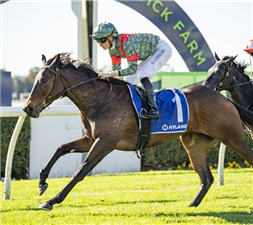 「海报希拉」夺冠海兰德赛马队服让赛(HYLAND RACE COLOURS HANDICAP) 「海报希拉」夺冠海兰德赛马队服让赛(HYLAND RACE COLOURS HANDICAP)