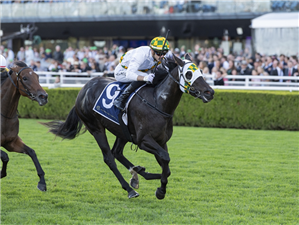 PLAINTIFF winning the 4 PINES P J BELL STAKES at Randwick in Australia.
