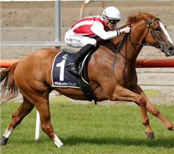 「诗意冠军」 「诗意冠军」