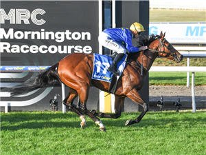 「侦察任务」夺冠哈利巴锦标赛