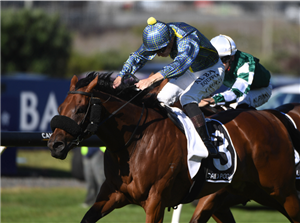 ROAD TO PARIS winning the HKJC WORLD POOL NZ DERBY