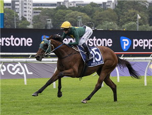 SHEZA ALIBI winning the DONCASTER MILE at Randwick in Australia.