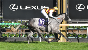 「银霞姐妹」夺冠在弗莱明顿赛马场上举办的VRC圣烈治赛