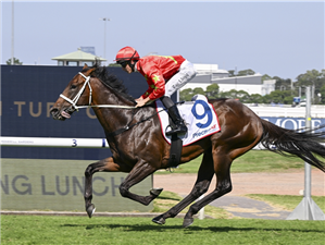 「六十年代」夺冠在澳洲罗斯希尔花园马场上举办的精密空气让赛（PRECISE AIR HANDICAP）