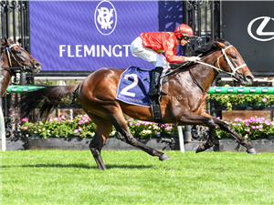 「六十年代」夺冠CS海耶斯锦标赛