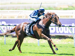 SMOOTH CHINO winning the Black Heart Bart Stakes