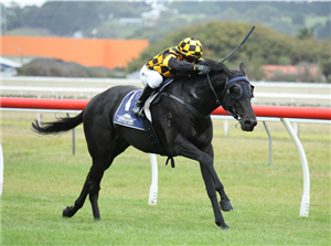 「那就走」夺冠
