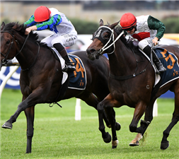 「纯金」（内侧）