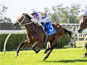 「圣哥达」夺冠在老鹰马场上举办的基亚奥拉血统头条让赛（KIA ORA BLOODLINES TO HEADLINES HANDICAP）