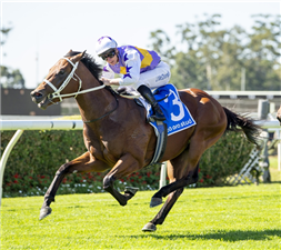 「圣哥达」夺冠起亚奥拉血统头条让赛（Kia Ora Bloodlines To Headlines Handicap）
