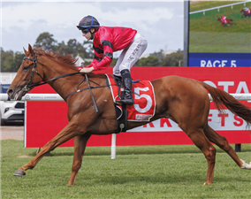 STORM LEOPARD winning the TOYOTA FORKLIFTS TULLOCH STAKES.
