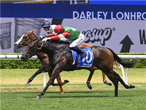 「农家女孩」夺冠在兰德威克赛马场上举办的达利白金矿盾赛（Darley Lonhro Plate）