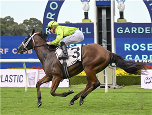 「斯特雷坦王」