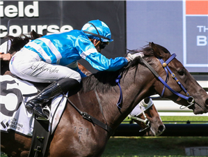 「时尚秘密」夺冠